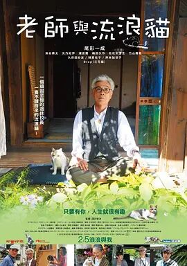 手机免费播放