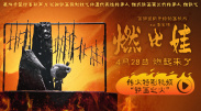 1080HD高清在线观看